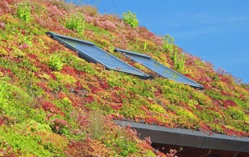Larbreck living roof systems